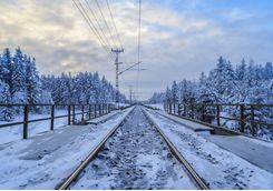 Explore the snowy train tracks