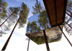 The Tree Hotel