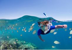 Kid snorkelling