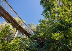 Kirstenbosch Gardens, Cape Town