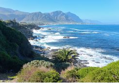 Hermanus Coast