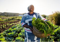 woman picking veg