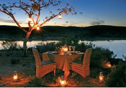 bushamans kloof dining al fresco