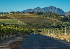 cape winelands road