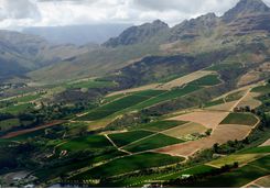 cape wine valley