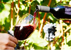 wine tasting