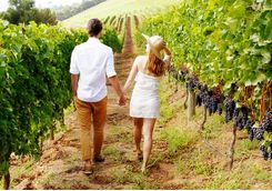 couple walking through vineyard