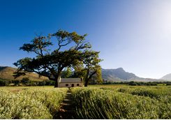 franschhoek scenery