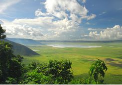 ngorongoro conservation area