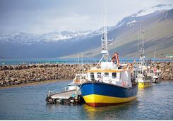 A boat bobs in the harbour