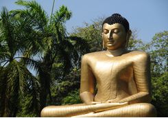 Colombo Buddha