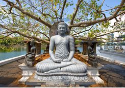 Statue Sri Lanka