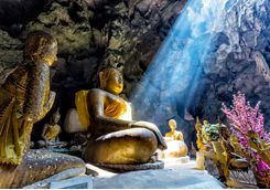 Dambulla Sunlight