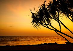 Beach Sunset