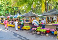 Kandy market
