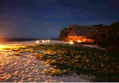 Beach Cocktails, Tanzania