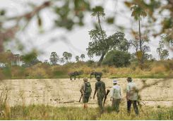 Walking Safari, Tanzania