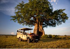 Jeep, Ruaha National Park