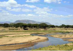 Ruaha National Park