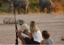 Walking Safari in Ruaha
