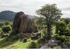 Game Drive, Tanzania