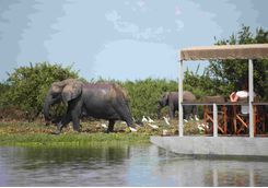 River cruise, Tanzania