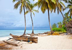 Cannoying, Zanzibar