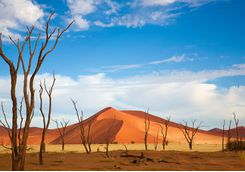 sossusvlei landscape
