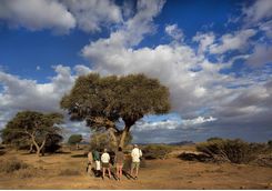 kulala walking safari