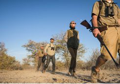 ongava lodge walking safari