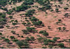 okonjima reserve