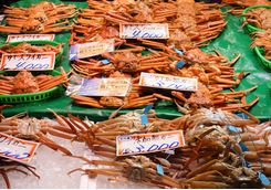 Omicho market crabs in Kanazawa