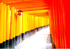 Torii gates at Fushimi Inari Shrine in Kyoto