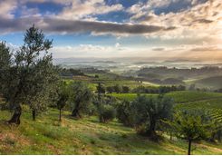 Tuscan Hills