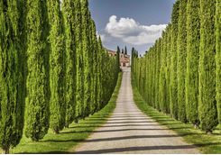 Winery in Tuscany