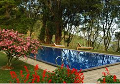 ceylon tea trails