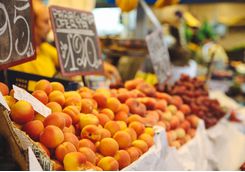 Fruit market in Bologna