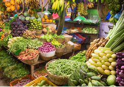 fruit market