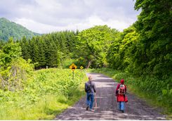 Walking in Shikotsu Toya National Park