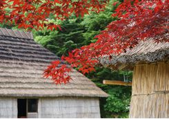 Ainu Museum