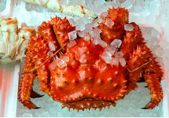 Otaru crab