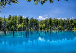 Beautiful blue Biei Lake