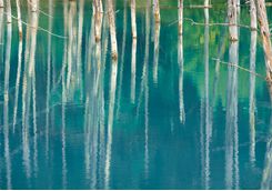 Close up of cobalt blue Biei Lake