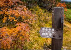 Trail sign in Daisetsuzan National Park