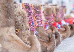 sami reindeer shoes