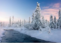 snowy river