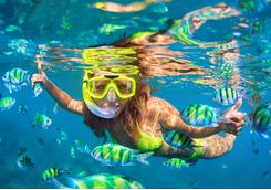 Snorkelling in the Hawaiian Coral Reef