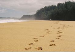 Walk along the beach