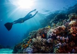 Snorkelling