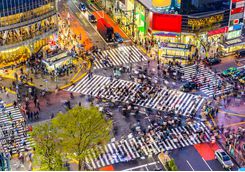 Shibuya Crossing in Tokyo, Japan